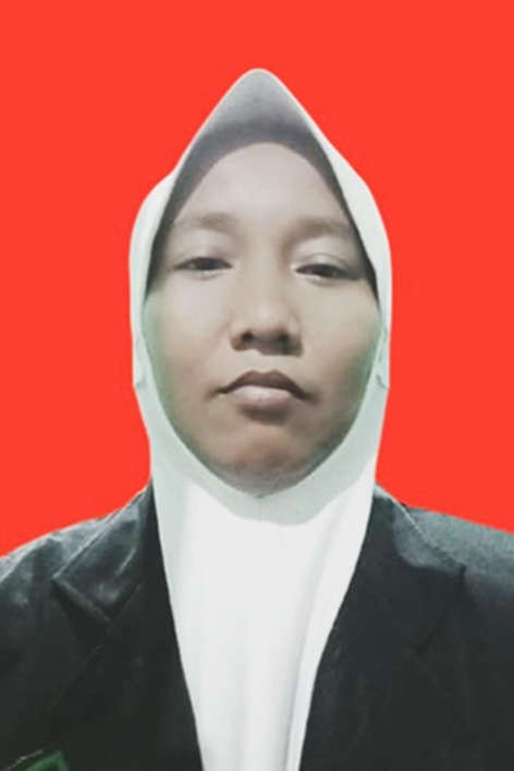 Profil NUR ALISAH Info Pemilu