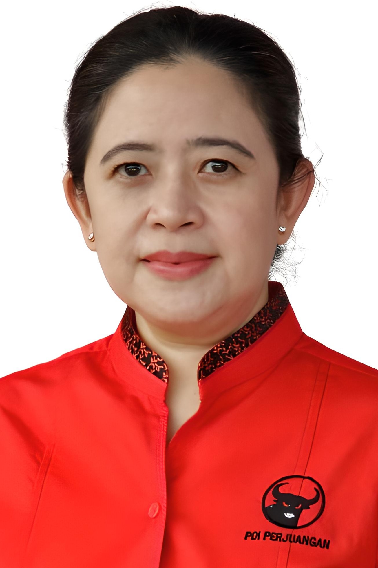 Profil PUAN MAHARANI - Info Pemilu