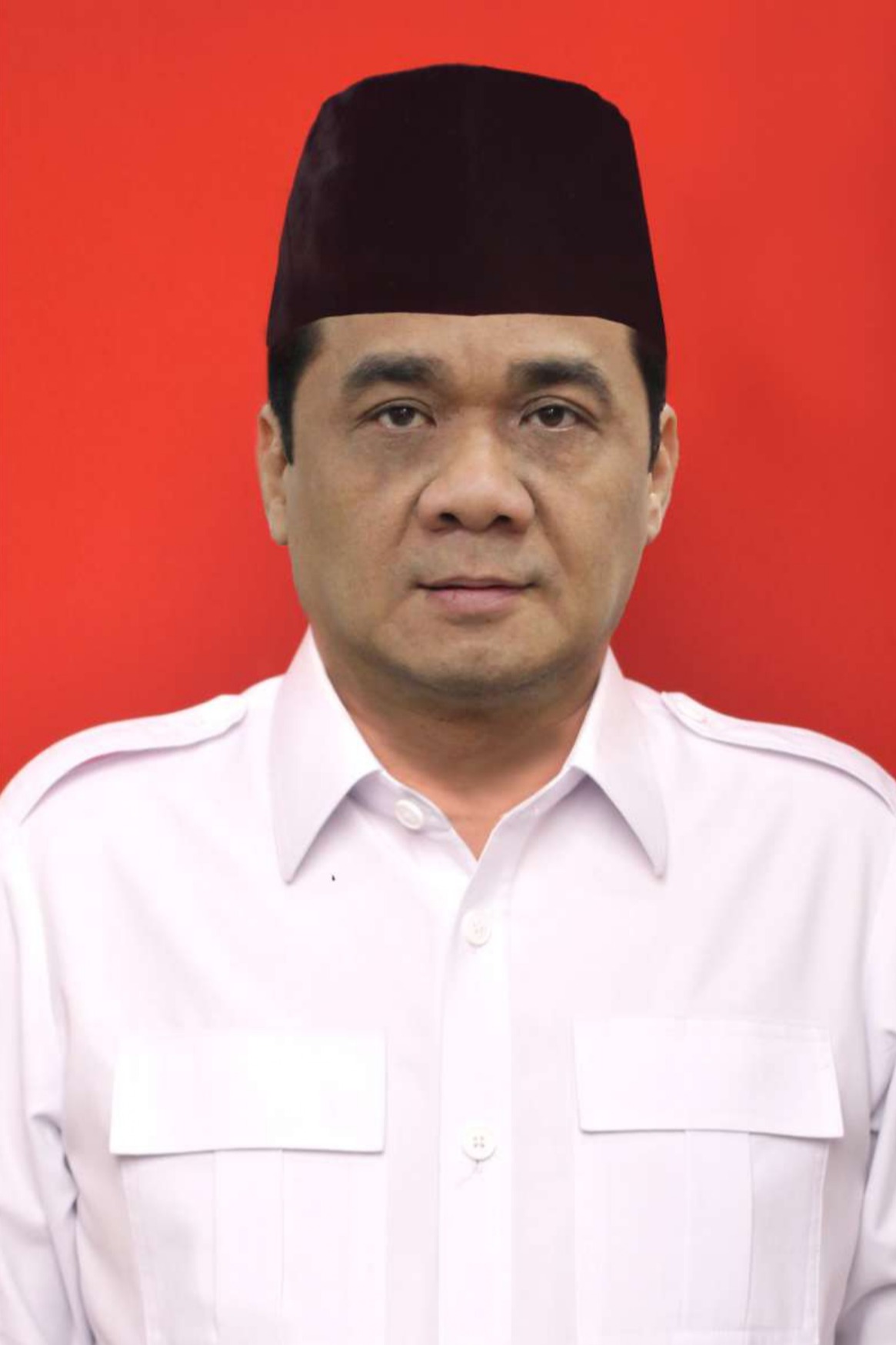 Profil Ir. H. AHMAD RIZA PATRIA, M.A.B. - Info Pemilu